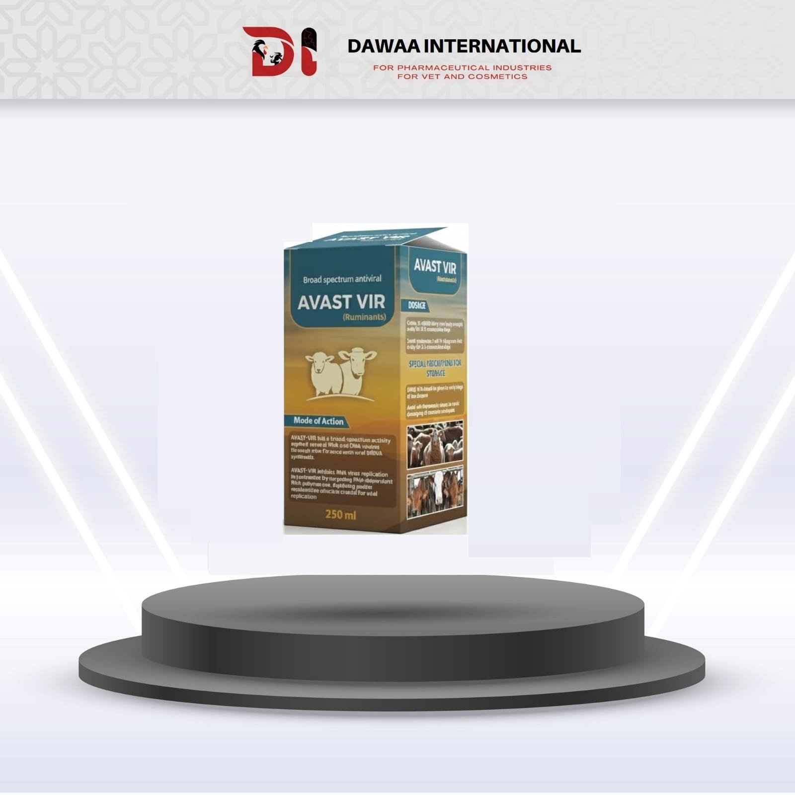 WhatsApp Image 2025-12-31 at 1.44.40 PM