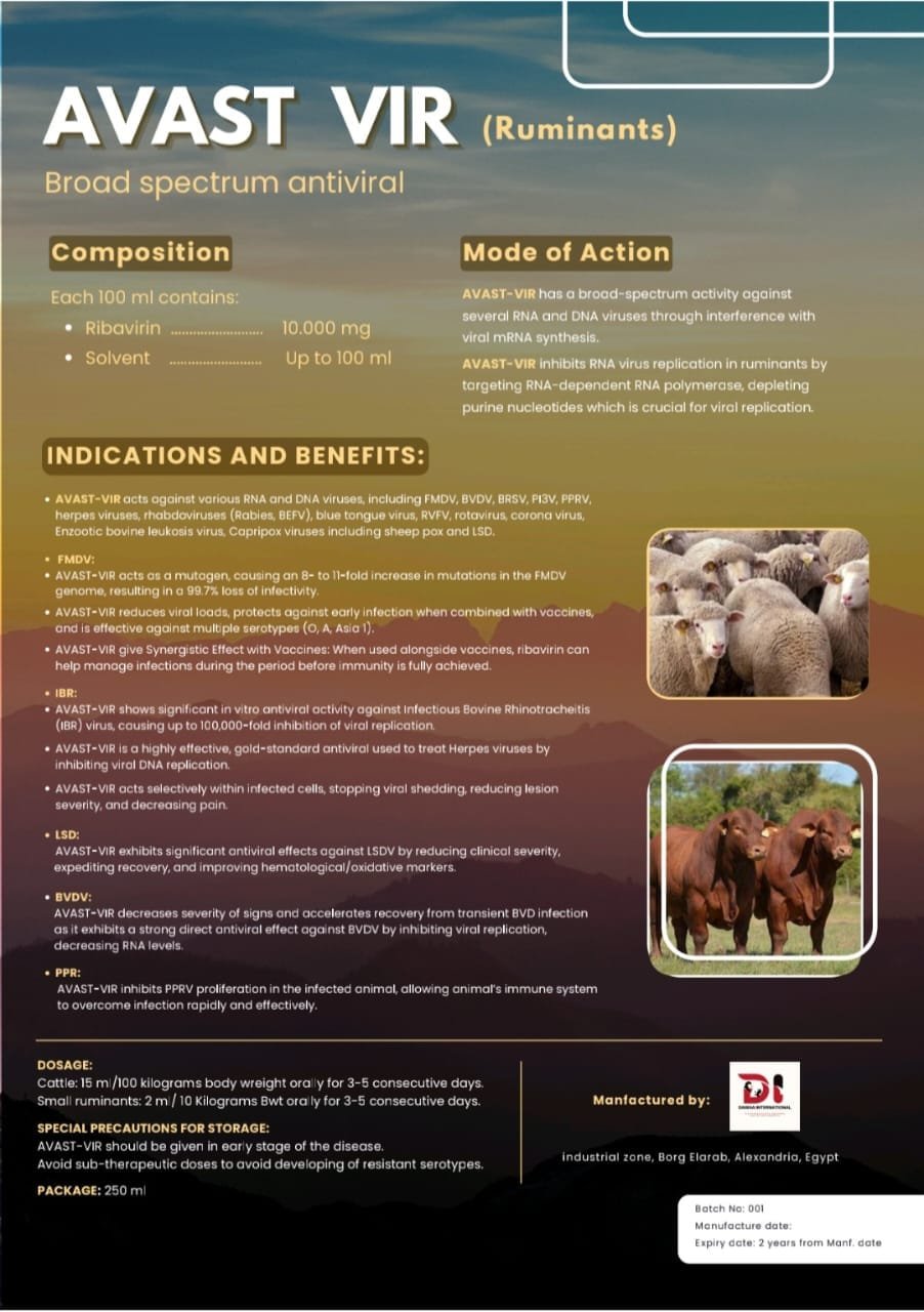 WhatsApp Image 2025-12-31 at 12.51.46 PM